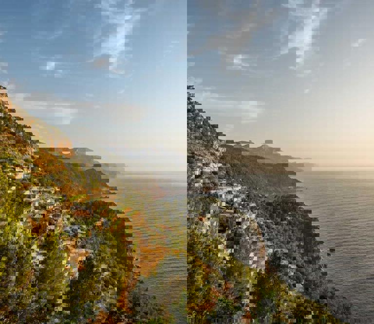 mobile background placeholder image
